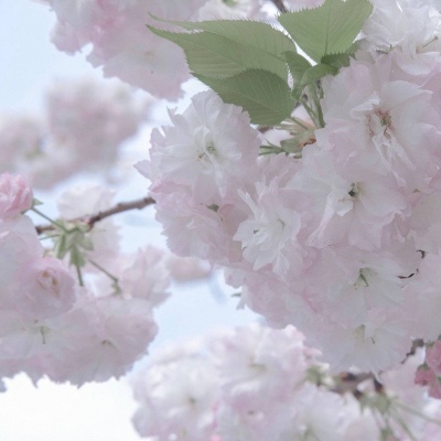 兽设海洋场景设计兽圈群